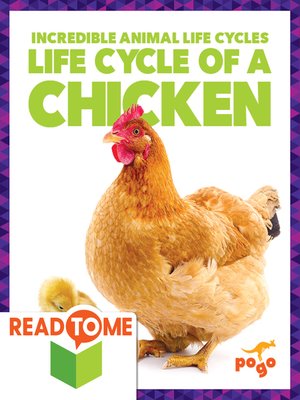 cover image of Life Cycle of a Chicken